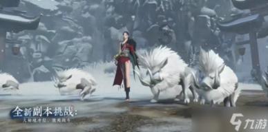 无忧国际wy6999